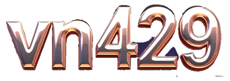 vn429 logo
